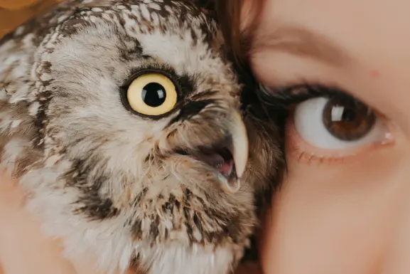 Lottomart Casino Stuðningur